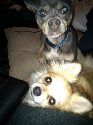 zack-and-dante