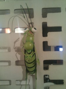 grasshopper