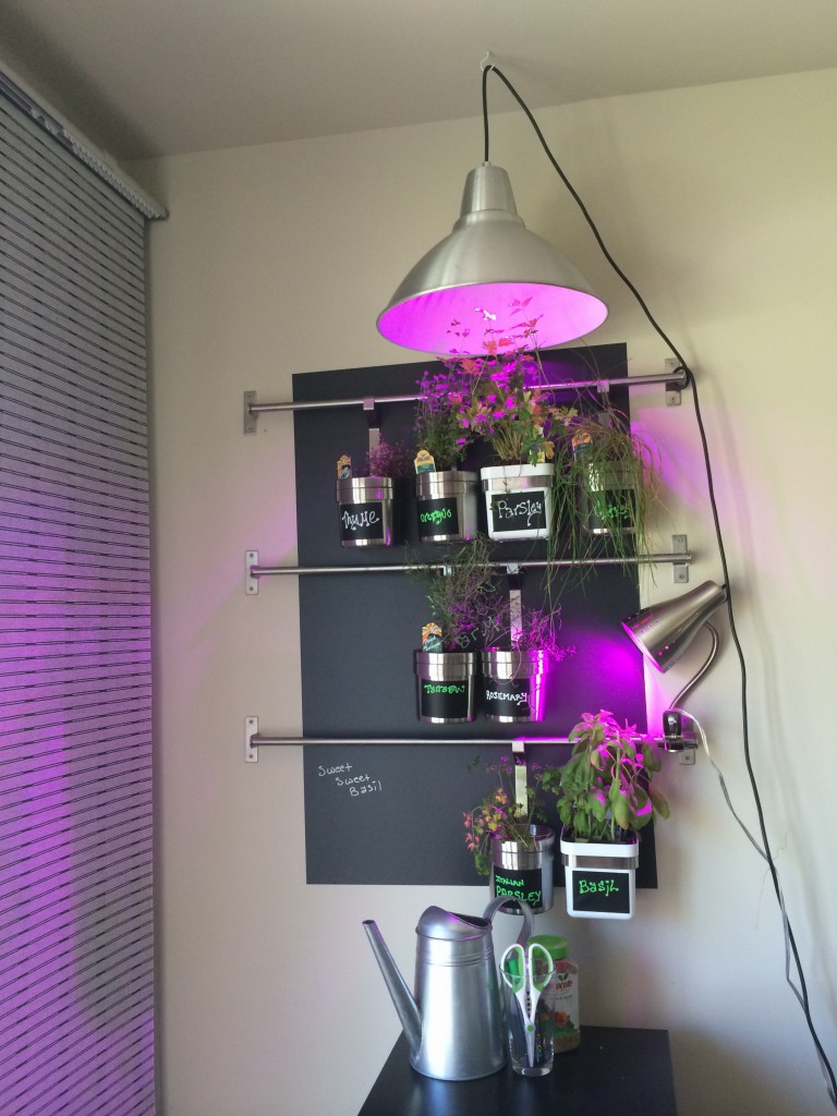 indoor-herb-garden