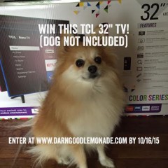 Who Wants a Free TV?