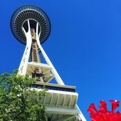 Seattle, Home and an Ommaya Reservoir